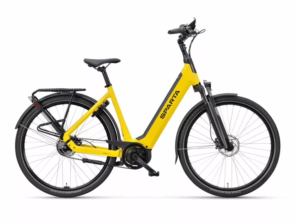 Sparta D-Rule Energy 2023